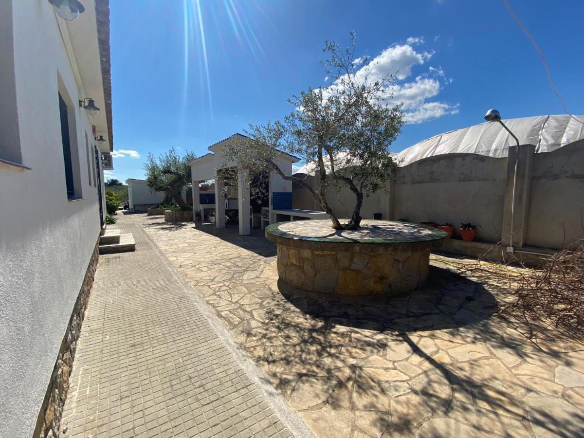 Mas Les Oliveres Vilaseca de Solcina Esterno foto